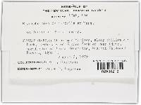 Image Associated With the Occurrence