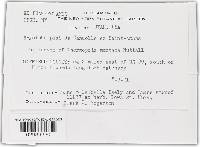 Image Associated With the Occurrence