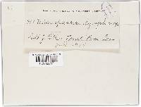 Image Associated With the Occurrence