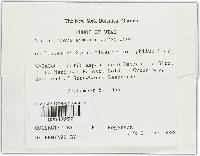 Image Associated With the Occurrence