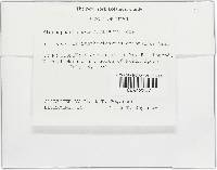 Image Associated With the Occurrence