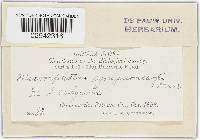 Image Associated With the Occurrence