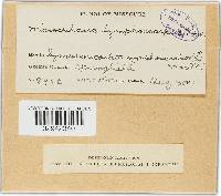 Image Associated With the Occurrence