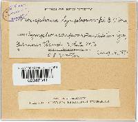 Image Associated With the Occurrence