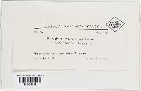 Image Associated With the Occurrence