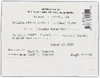 Image Associated With the Occurrence