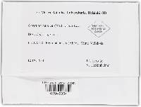 Image Associated With the Occurrence