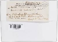 Image Associated With the Occurrence