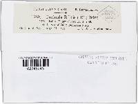 Image Associated With the Occurrence