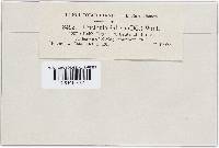 Image Associated With the Occurrence