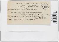 Image Associated With the Occurrence