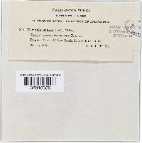 Image Associated With the Occurrence