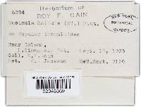 Image Associated With the Occurrence