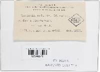 Image Associated With the Occurrence