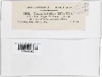 Image Associated With the Occurrence