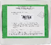 Thelonectria jungneri image