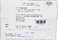 Media resource of Bionectria compactiuscula