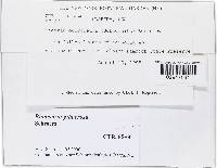 Media resource of Bionectria gibberosa