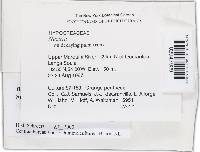 Media resource of Bionectria pseudochroleuca