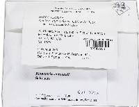 Bionectria samuelsii image