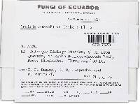 Media resource of Bionectria samuelsii