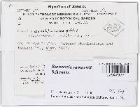 Image Associated With the Occurrence