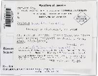 Image Associated With the Occurrence