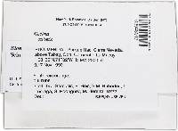 Bionectria samuelsii image