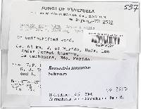 Image Associated With the Occurrence