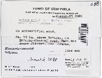 Image Associated With the Occurrence