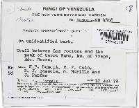 Image Associated With the Occurrence