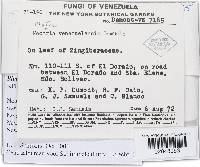 Image Associated With the Occurrence