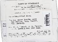 Image Associated With the Occurrence