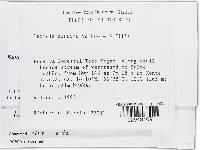 Media resource of Bionectria sporodochialis