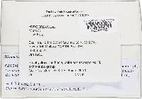 Media resource of Bionectria tornata