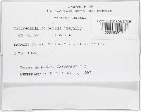 Image Associated With the Occurrence