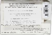 Image Associated With the Occurrence