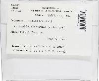 Image Associated With the Occurrence