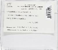 Image Associated With the Occurrence