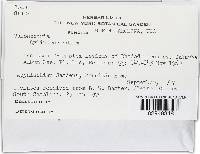 Image Associated With the Occurrence