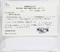 Image Associated With the Occurrence