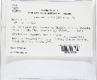 Image Associated With the Occurrence