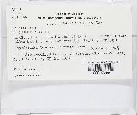 Image Associated With the Occurrence