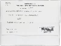 Image Associated With the Occurrence