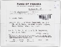 Image Associated With the Occurrence