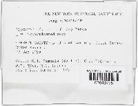 Image Associated With the Occurrence