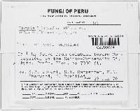 Image Associated With the Occurrence