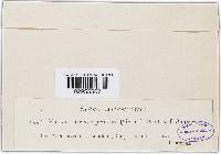 Image Associated With the Occurrence