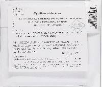 Lanatonectria flavolanata image