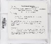 Lanatonectria flavolanata image